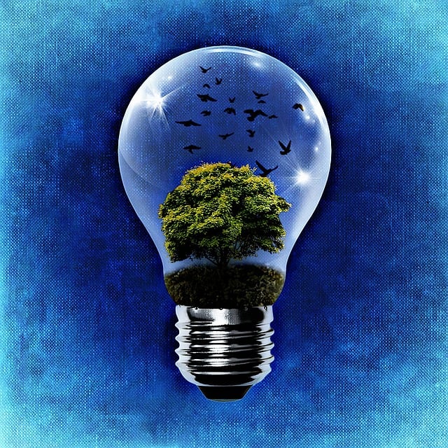 about Image